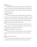 ¿Qué son las bellas artes?