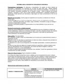 INFORME ANUAL DESCRIPTIVO PEDAGÓGICO INDIVIDUAL