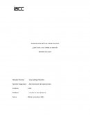 Administración de operaciones ¿Qué son las operaciones?