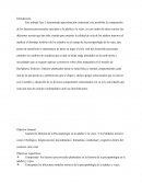 LA PSICOPATOLOGIA CONTEMPORANEA DEL S.XX