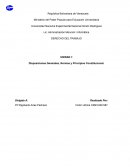 Disposiciones Generales, Normas y Principios Constitucional