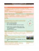 FUNDAMENTOS DE LOS DEPORTES III: JUDO