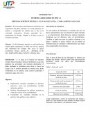 Plano inclinado, experimento 7