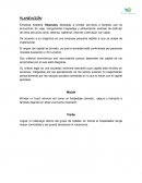 Proceso administrativo Takamaay