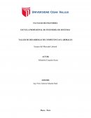 Ensayo del Mercado Laboral