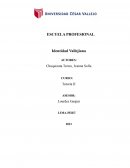 Proyecto exitosa Vallejiano