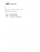 Cultura Nacional como base en la organización