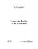 Componentes Servicios de Proveedores WAN