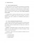 ¿Qué es el tamaño del proyecto?