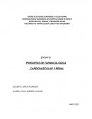 ENSAYO: PRINCIPIOS DE FARMACOLOGICA