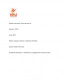 ORGANIZACIÓN DE RECUROS HUMANOS DEL HOSPITAL FRANCISCO MAYO