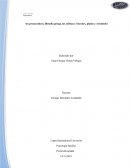 Ensayo de Filosofos Presocraticos