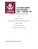 Lay Out Industria Mueblera San Francisco