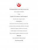 Tarea sobre video “Amigos de Armas”