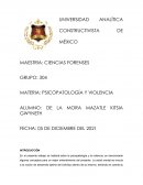 Psicopatología y la violencia. El caso de “La Mataviejitas”
