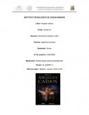 Angeles Caidos