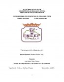 Proyecto general de trabajo docente