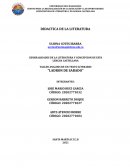 TALLER ANALISIS DE UN TEXTO LITERARIO “LADRON DE SABADO”