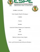 Roles y perfil del profesional de Recursos Humanos