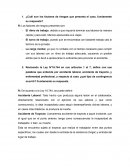 ¿Cuál son los factores de riesgos que presenta el caso, fundamente su respuesta?