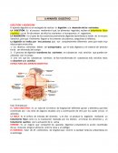 APARATO DIGESTIVO DIGESTIÓN Y ABSORCIÓN