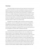 Metodología del proyecto