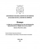 Ensayo ¿Cómo es la experiencia de una intervención educativa en el primer ciclo de la EEG?