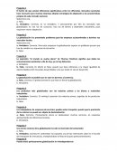 Comercio Internacional. Preguntas