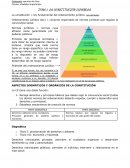 Resumenes derecho constitucional