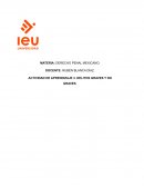 DELITOS GRAVES Y NO GRAVES