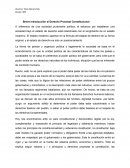 Breve introducción al Derecho Procesal Constitucional