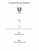 ENSAYOS Y RESUMENES DEL SISTEMA DE GESTION AMBIENTAL (SGA)