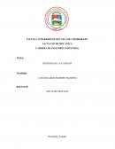 Historia de la calidad