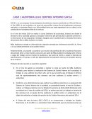CASO 1 AUDITORIA (EEFF) CONTROL INTERNO CAR S.A