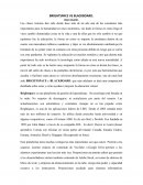 ENSAYO PLATAFORMAS DIGITALES