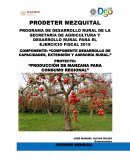 PROYECTO: “PRODUCCIÓN DE MANZANA PARA CONSUMO REGIONAL”