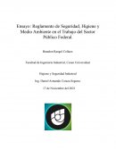 Ensayo: Reglamento de Seguridad, Higiene y Medio Ambiente en el Trabajo del Sector Público Federal