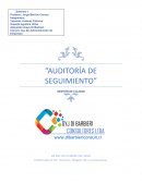 Informe de auditoría de intervención de control interno: La vakita Ltda