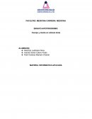 Hipotiroidismo: Cuerpo y mente en cámara lenta