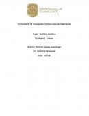 Nutrición holística