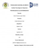 PROPIEDADES DE LAS DETERMINANTES