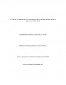 DETERMINACIÓN GRAVIMÉTRICA DEL CONTENIDO DE CALCIO EN FORMA DE ÓXIDO DE CALCIO (CAO) EN UNA PIEDRA CALIZA