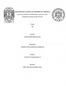 Filosofía y Ética profesional (a distancia)