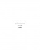 Excedentes y Elasticidades de Mercado. Fundamentos de la Economía