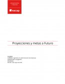 Proyecciones y metas a Futuro