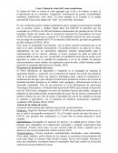 Caso: Cadena de valor del Cacao ecuatoriano