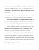 Propuesta politica de seguridad GARDENPOT. S.L