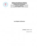 Los Sujetos de Derecho