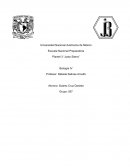 ¿Cómo se aplica el método científico en una investigación biológica?