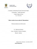 Observación de una sesión de Matemáticas. Prácticas educativas de observación